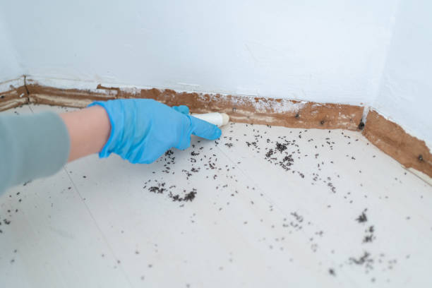 Best Pest Prevention Services  in Utica, MI